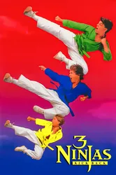 3 Ninjas Siêu Quậy (3 Ninjas Siêu Quậy) [1994]