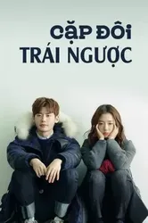 Cặp Đôi Trái Ngược (Cặp Đôi Trái Ngược) [2014]