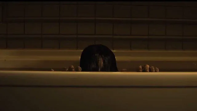 The Grudge